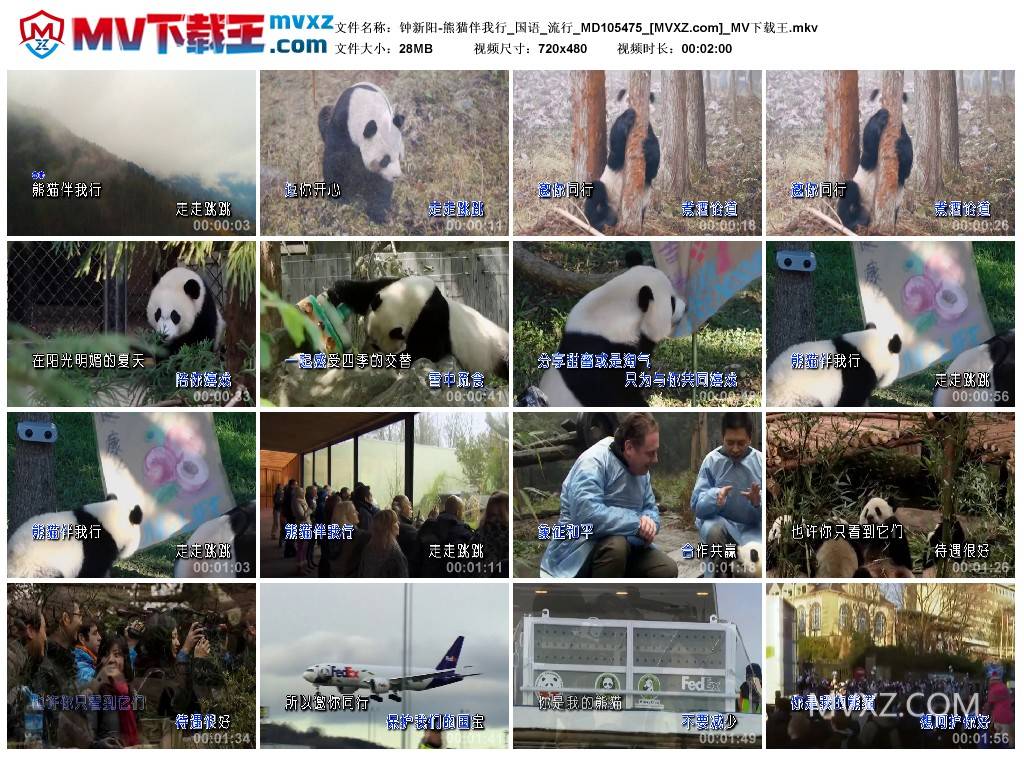 钟新阳-熊猫伴我行_国语_流行_MD105475